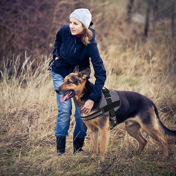 Dogline Dog Harness, Reflective No-Pull Adjustable Vest with Handle for Walking, Training, Breathable, No - Choke Harness for Small, Medium or Large Dogs Room for Patches Girth 15 to 18 in Grey