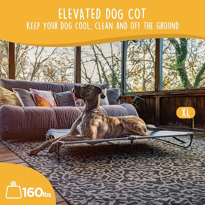Daisy Cot, XL Foldable Elevated Dog Bed, Portable Raised Outdoor Folding Dog Cots, Cooling, Chew Proof, Waterproof, Heavy Duty Up to 160 lbs for Camping/Home, Grey, 49"x 33"x7"