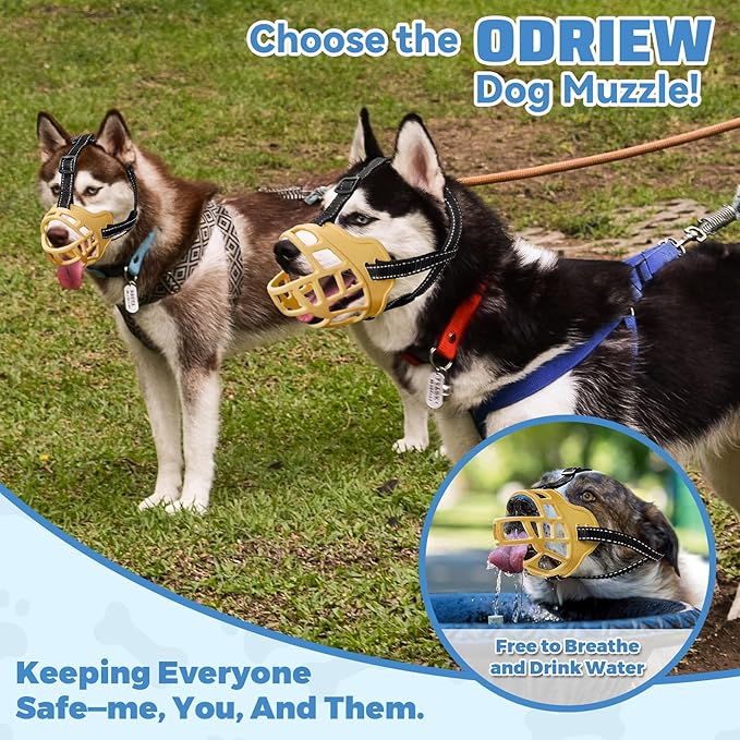 Dog Muzzle for Large Dogs, Breathable Basket Muzzles for Small, Medium and X-Large Aggressive Dog, Allows Panting Drinking, Suitable for Grooming Trimming Training (2, Luminous Orange)