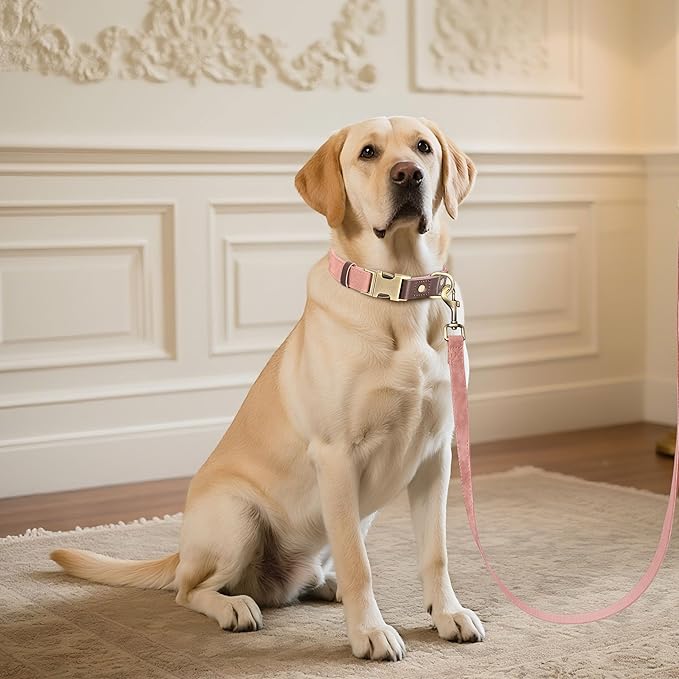 Didog Soft PU Leather Dog Collar for Large Dogs,Classic Adjustable Dog Collars with Quick Release Metal Buckle,Easy Clean and Comfortable with Nylon Lining,Pink,L Neck 15-23"