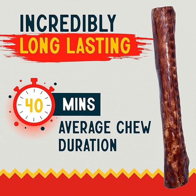 Canine Chews 10" Beef Basted Rawhide Bones for Large Dogs - 20 Pack - Hand-Rolled Dog Chews Basted in Beef Broth - Promotes Dental Health