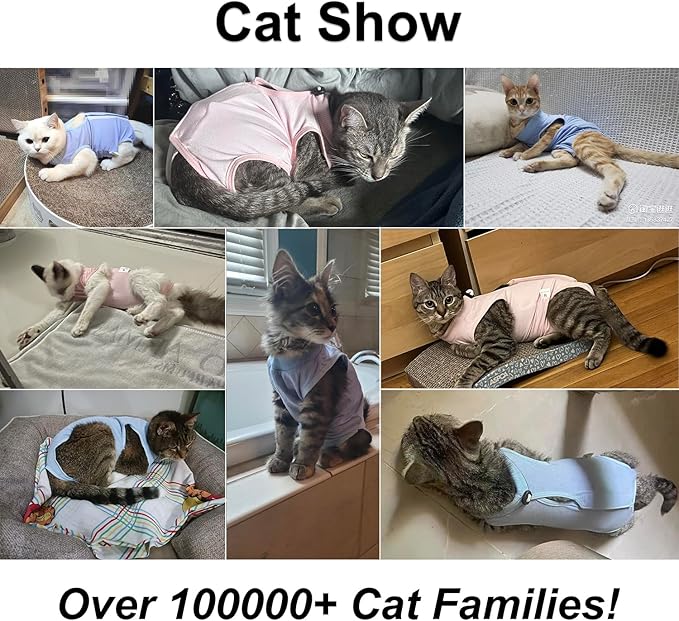 Cat Recovery Suit, Surgical Recovery Clothes for Abdominal Wound or Skin Disease, Cats Onesie After Surgery and Spay, E-Collar Alternative Pajama Suit (Purple, Small)