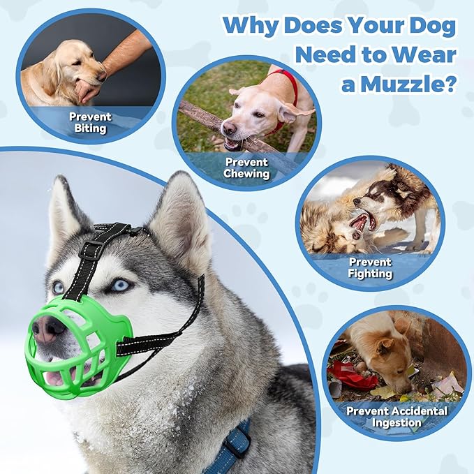 Dog Muzzle for Large Dogs, Breathable Basket Muzzles for Small, Medium and X-Large Aggressive Dog, Allows Panting Drinking, Suitable for Grooming Trimming Training (3, Luminous Green)