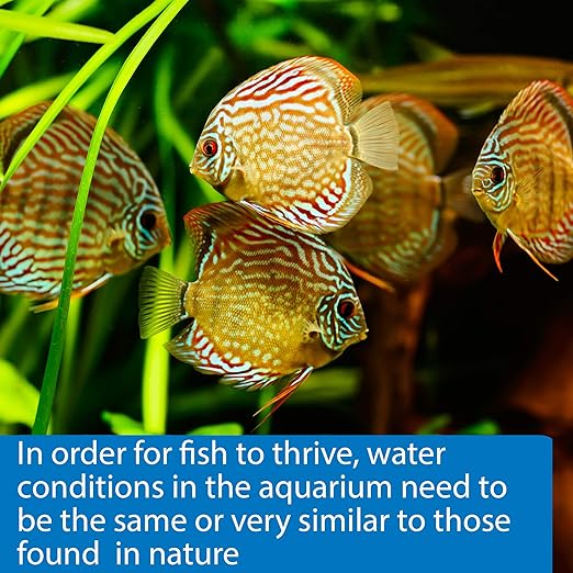 API 5-in-1 Test Strips Freshwater and Saltwater Aquarium Test Strips 25-Count Box