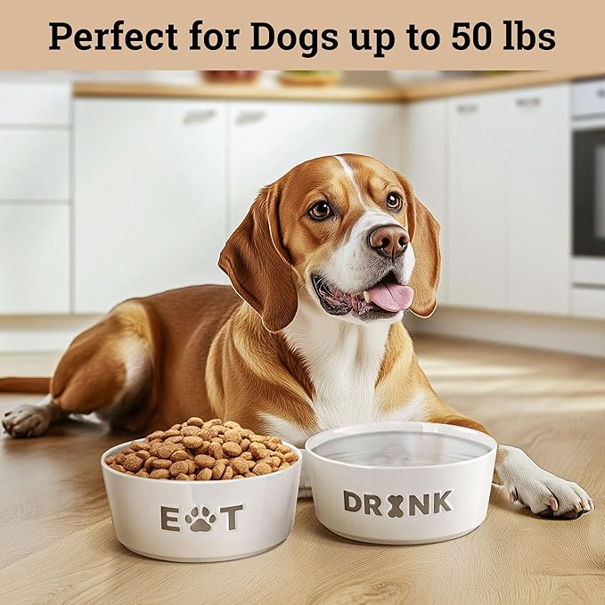 Ceramic Dog Bowl Set of 2 with Anti-Skid Base - 6.5" Wide x 2.5" Tall Ceramic Dog Bowls Medium Sized Dogs - 3.8 Cup Capacity Food and Water Bowls for Dogs - Rubber Bottom Pet Bowl Set of 2 Medium Size