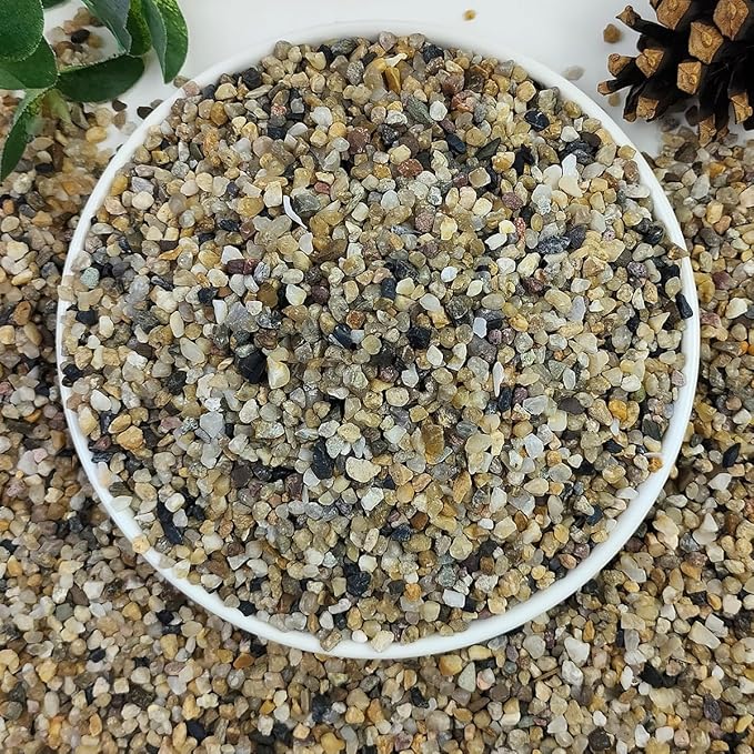 10lbs Aquarium Gravel, 1/8"(2-4mm) Natural River Rocks Succulent Cactus Pea Gravel for Plants, Fish Tank, Decorative Pebbles for Gardening, Flower Pots, Vase Fillers, Landscaping