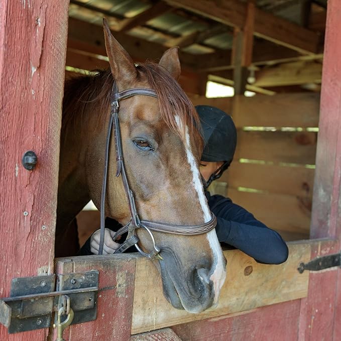 County Vet FarmGard Farm and Dairy Fly Spray -16 oz - (Case of 6) - 349316CVB - Provides Rapid Control of Barn Pests