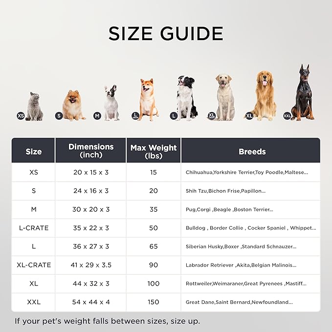 Bedsure Dog Bed for Small Dogs - XS Orthopedic Flat Puppy Beds with Removable Washable Cover, Egg Crate Foam Pet Mat, Suitable for Pet or Cats Up to 15 lbs