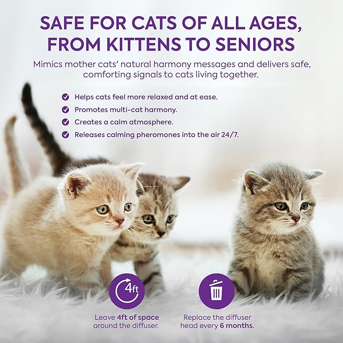 Cat Calming Diffuser Refills: Pheromone Refill for Cats, Long-Lasting 4-Month Supply, Compatible with Most Diffusers, 4 Pack (Light Purple)