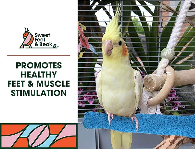 Comfort Grip Safety Perch for Bird Cages - Pedicure Perch for Birds to Keep Nails and Beaks in Top Condition - Safe Easy to Install Bird Cage Accessories - X-Small 4.5"