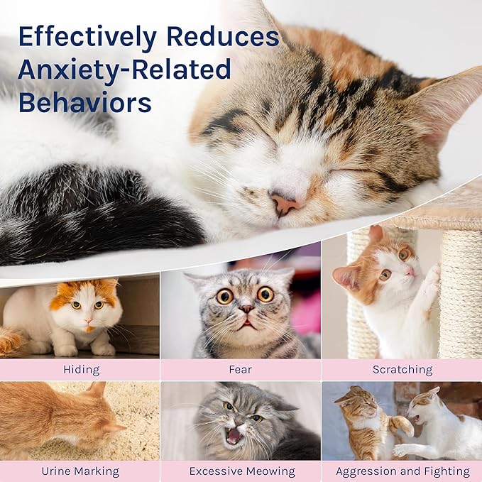 Cat Calming Pheromones Diffuser: 2 Classic Cats Plug in Refill Diffusers for Relaxation & Comfort - Reduce Stress Barking & Scratching - Indoor 60 Days Supply