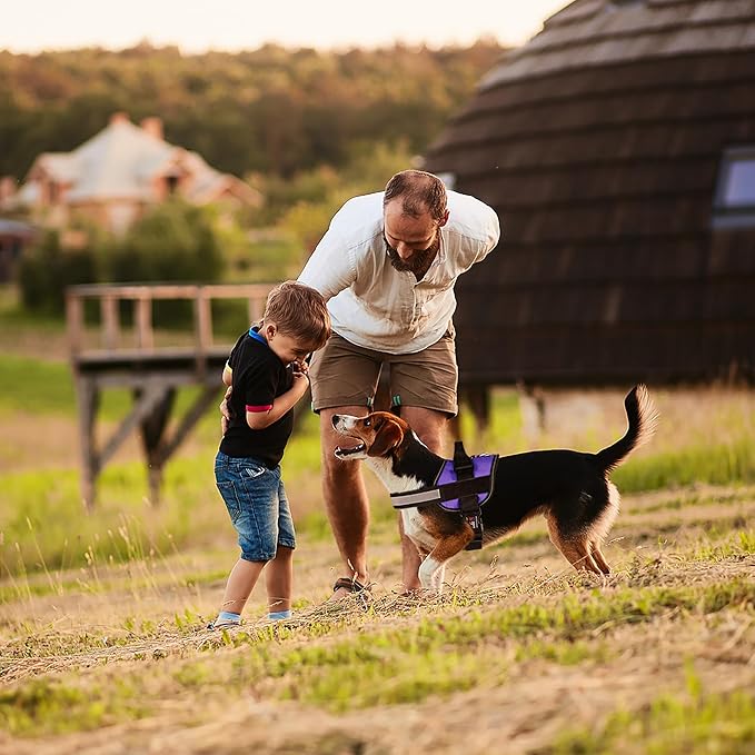 Dogline Dog Harness, Reflective No-Pull Adjustable Vest with Handle for Walking, Training, Breathable, No - Choke Harness for Small, Medium or Large Dogs Room for Patches Girth 33"-46" in Purple