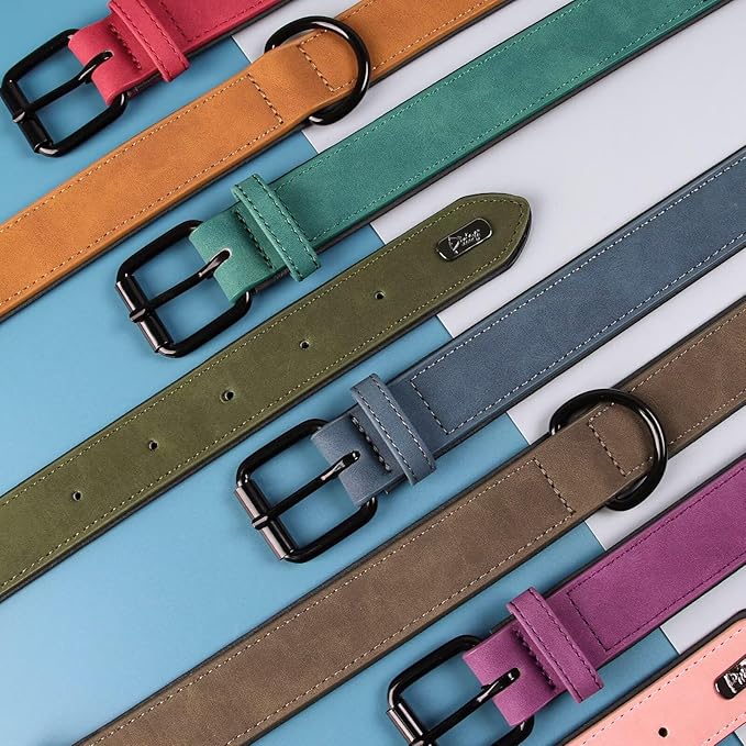 Didog Soft Padded PU Leather Dog Collar, Breathable and Adjustable Dog Collars for Small Dogs, Comfortable for Daily Walk, Dark Green, M Fit Neck 12-15"(13-22 lbs)