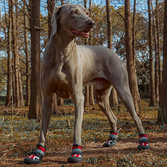 Dog Shoes for Large Dogs, Medium Dog Boots & Paw Protectors for Hardwood Floors, Outdoor Dog Booties for Hot Pavement Winter Snow Hiking, Waterproof Dog Shoes with Reflective (Red, 6# (L))