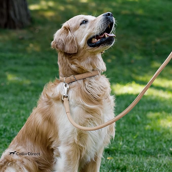 CollarDirect Rolled Leather Dog Collar, Soft Padded Round Puppy Collar, Handmade Genuine Leather Collar Dog Small Large Cat Collars 13 Colors (13-16 Inch, Beige Textured)