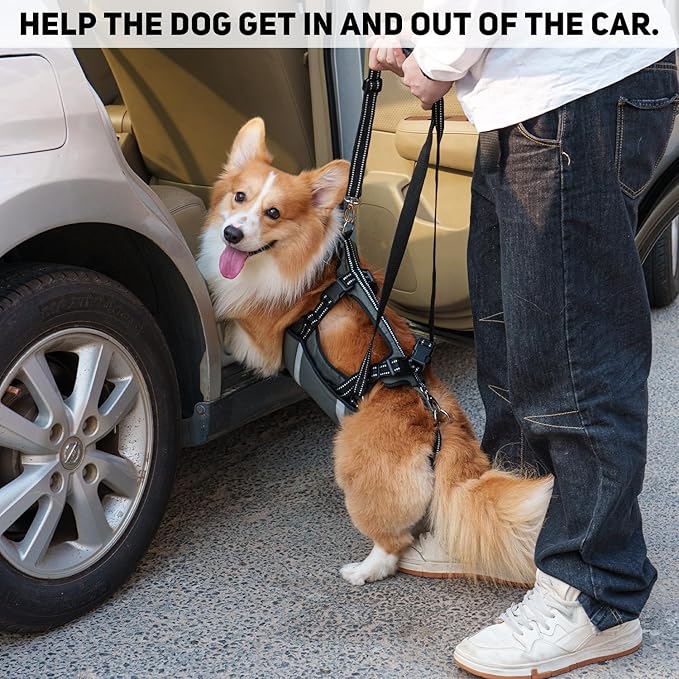 COODEO Mobility Dog Lift Harness, Emergency Carry Sling, Pet Rear Leg Support Rehabilitation Lifts Vest, Dog Carrier for Senior Dogs Joint Injuries, Arthritis (Military Green, M)