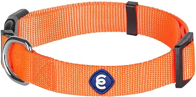 Blueberry Pet Essentials Small Dog Collar | Girl Dog Collars Fall | Female Dog Collar Small | Florence Orange Dog Collars for Small Dogs | Quick Release Dog Collar | Florence Orange Nylon Dog Collar