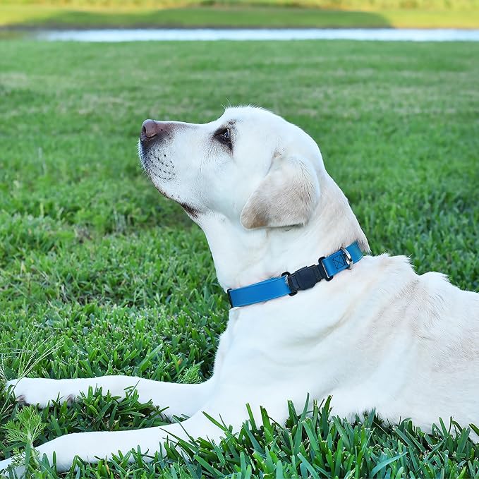 Dogline Biothane Waterproof Dog Collar with Herm Sprenger Black Stainless Steel Quick Release Buckle – Heavy Duty Tactical Durable Collar for Dogs – Comfortable and Safe Pet Collar W3/4" L12-19 Blue