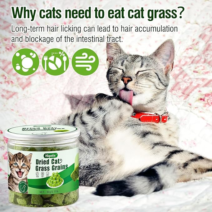 50g Cat Grass Teething Treat, Delicious Cat Grass Teething Snack Edible Cats Chew Toy for Teeth Cleaning and Hairball Removal