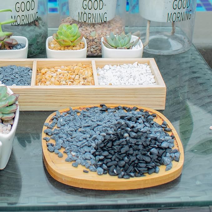 18lb Black Cactus Pea Gravel Rocks,1/4 Inch Pebbles for Indoor Plants, Natural Succulent Rock and River Rocks Decorative for Aquariums, Vases, Outdoor Gardening, Top Dressing for Potted Plants