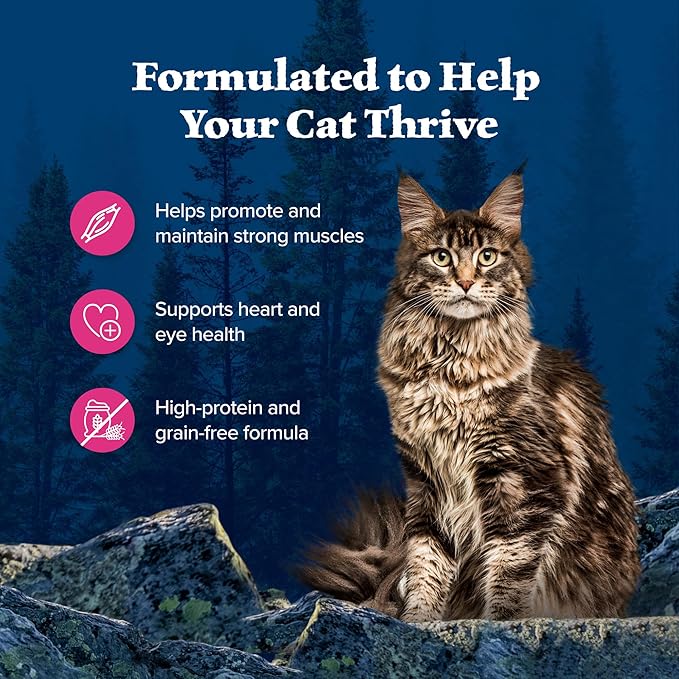 Blue Buffalo Wilderness Wild Delights Meaty Morsels Natural Wet Cat Food, Chicken & Salmon in Tasty Gravy, 3-oz. Cans, 24-Pack