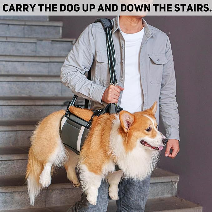 COODEO Mobility Dog Lift Harness, Emergency Carry Sling, Pet Rear Leg Support Rehabilitation Lifts Vest, Dog Carrier for Senior Dogs Joint Injuries, Arthritis (Military Green, XL)