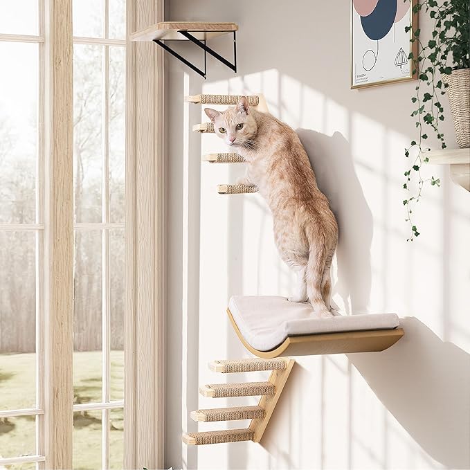 Cat Wall Shelves with Cats Window Perch – 4-Piece Wooden Cat Climbing Furniture Set with Soft Foam Curved Bed, Flat Shelf & 2 Wall 4-Steps Ladders