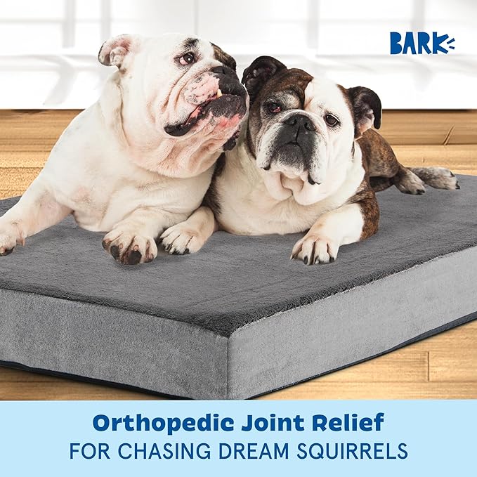 Barkbox Orthopedic Dog Bed with Memory Foam, Premium Comfort for Dogs and Puppies, Dog Bed for Joint Relief and Restful Sleep, Durable and Easy to Clean - Grey, XXL