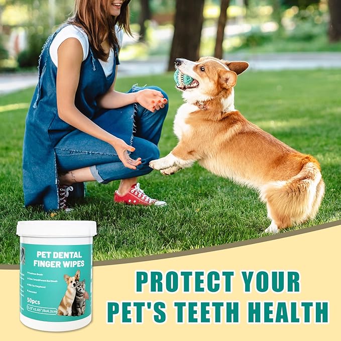 Dog Teeth Dental Finger Wipes for Dogs & Cats No-Rinse Dog Finger Toothbrush Dog Plaque & Tartar Prevention with Brushing Beads Dog Breath Freshene 50pcs