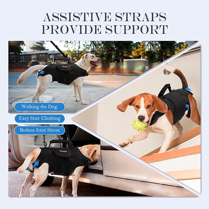 Dog Lift Harness, Full Body Support with Adjustable Control Handle for Small Senior Dogs, Post-Surgery Recovery & Joint Problems (Oxford Cloth, S)