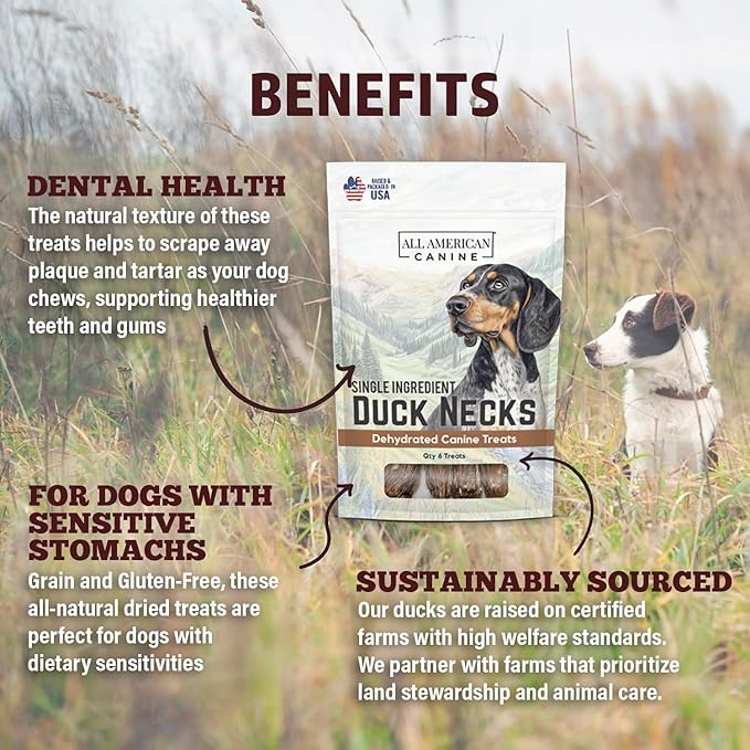 6 Natural Duck Neck Dog Treats – Single Ingredient, Dehydrated & Chewy – Low-Fat, High-Protein Training Reward – Made in USA