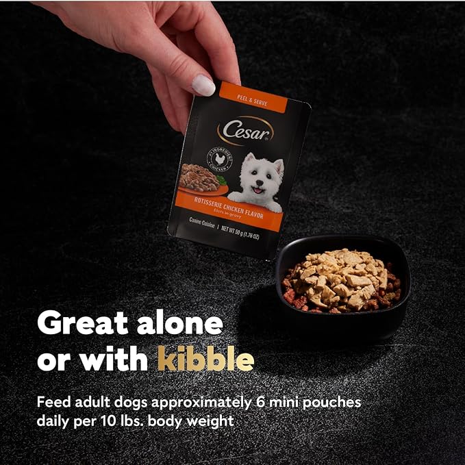 Cesar Filets in Gravy Wet Dog Food Rotisserie Chicken Flavor, 1.76 oz. Mini-Pouch (20 Count, Pack of 1)
