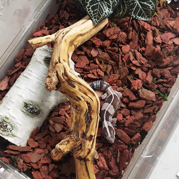 BNOSDM Reptile Cork Bark Substrate Bedding Tortoise Natural Cork Wood Chips Reptile Breeding Bedding Habitat Decor for Ball Python Lizard Snake Spiders Geckos Bearded Dragons Hermit Crabs （0.99LB）