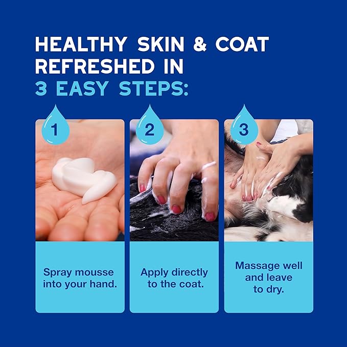 DOUXO® Skin & Coat SPA - Ultra-Safe Quick Refresh Leave-on Mousse for Dogs, 10 fl oz, Safely Cleans and Refreshes, Leaves The Coat Soft, Radiant and Smelling Great, Skin-Friendly Formula