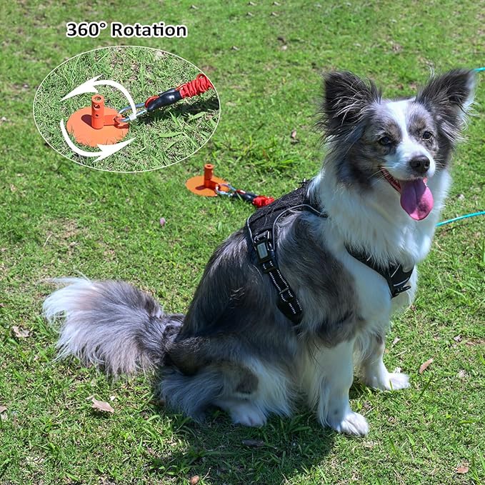 Dog Stakes for Outside Heavy Duty Hold up to 350Lbs Large Dogs Tie Out Tether Leash Chain for Yard Screw in Ground Anchors 17inch with Buffer Rope, Blue