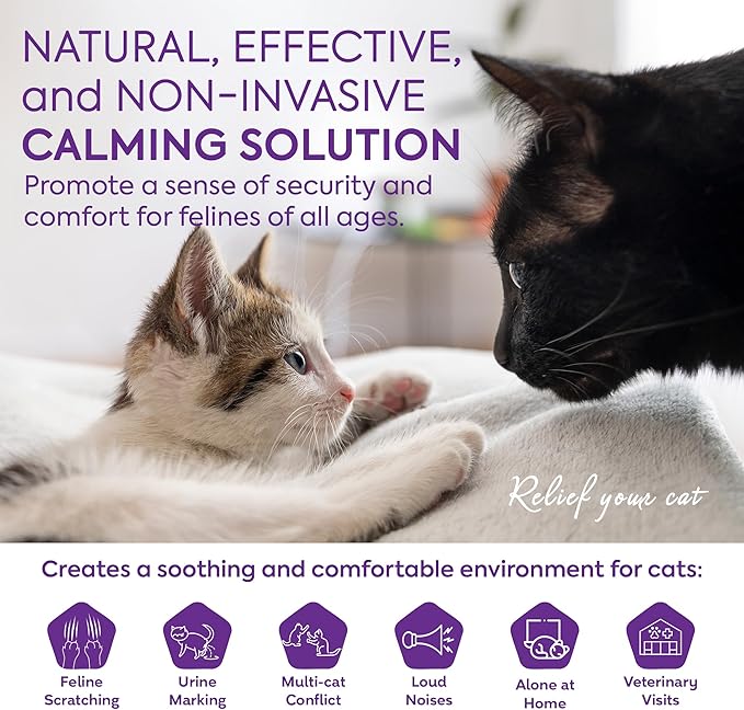 Cat Calming Diffuser Refills: Pheromone Refill for Cats, Long-Lasting 6-Month Supply, Compatible with Most Diffusers, 6 Pack (Purple)