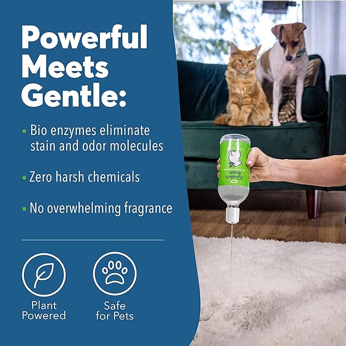 Dog & Cat Urine Stain and Odor Eliminator for Carpet, Upholstery, Hard Floors - Single 32 oz., Grapefruit & Thyme Scent, Enzyme Bio-Active Formula with Squeeze and Spray Top