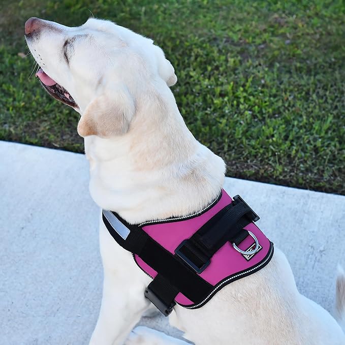 Dogline Dog Harness, Reflective No-Pull Adjustable Vest with Handle, Breathable No-Choke Harness for Small, Medium or Large Dogs Room for Patches Girth 18 to 24 in Pink