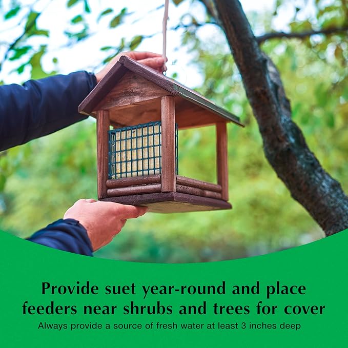 C&S Cranberry Delight No Melt Suet Dough 11.75 Ounces 8 Pack