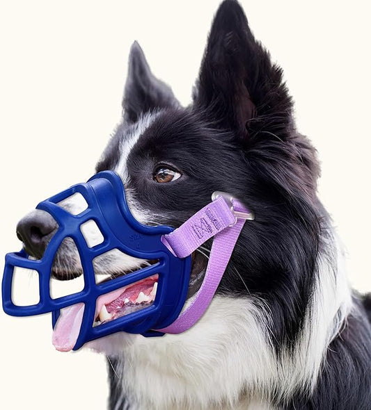Basket Muzzle Allows Panting Drinking - Anti Biting Chewing, Suitable for Grooming Trimming Training, for Small Medium Large Dogs (Blue, Size 6)