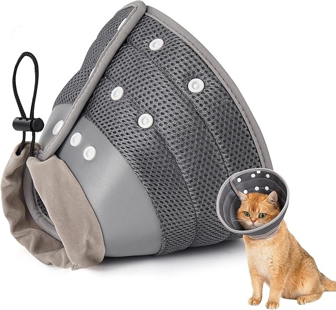 Avont Cat Cone Collar Soft to Stop Licking, Adjustable Foldable Lightweight Kitten Recovery Collar After Surgery for Small Dogs, Elizabeth Cone of Shame Alternative -Darkgrey(M)