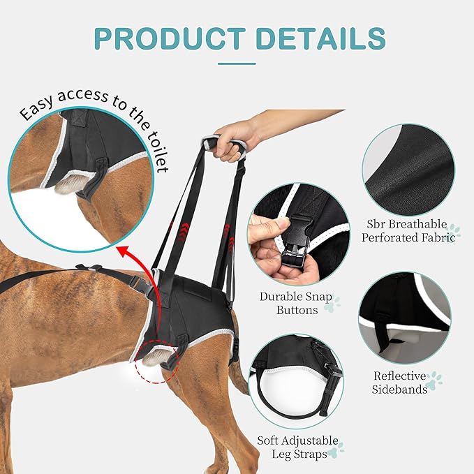 Dog Lift Harness for Extra Large Dogs – Hind Leg Support with Chest Stabilizer Straps, Adjustable Elastic and Buckles, Helps with Hip Dysplasia, Joint Pain, and Mobility, Easy to Wear, XL