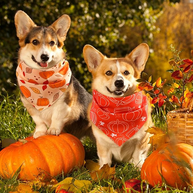 Abbylike 50 Pcs Fall Dog Bandanas Bulk Pumpkin Bandanas for Dogs Triangle Kerchief Bibs Scarf for Small Medium Large Pets Autumn Thanksgiving Costume Accessories, 25 Styles (25.6 x 17.7 x 17.7 Inch)