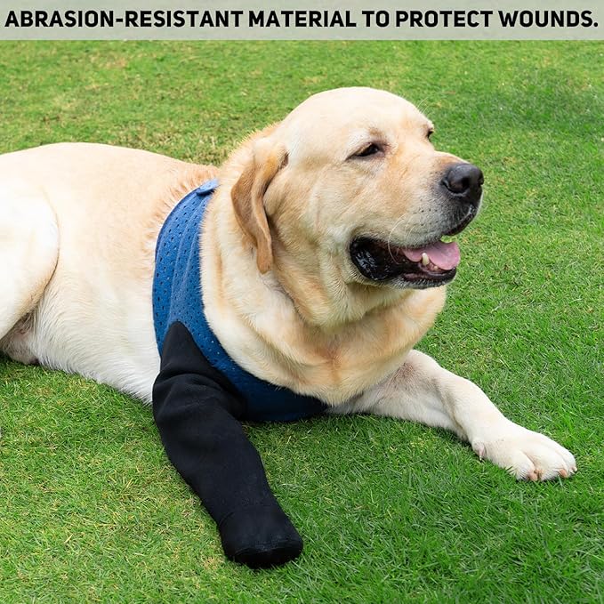 COODEO Dog Socks to Prevent Licking Paws, Healing Boots & Paw Protectors with Non-Slip Bottoms for Wound Protection, Waterproof Sleeve Shoes for Licking（Blue，2XL_Right