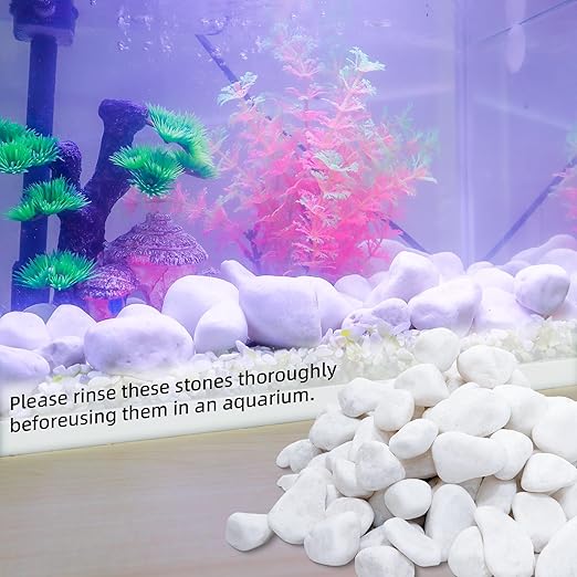 18LB 1"-2" White River Rocks for Plants, Polished Pebbles for Garden Landscaping, Planters, Aquariums, Vase Fillers – Indoor & Outdoor Decor