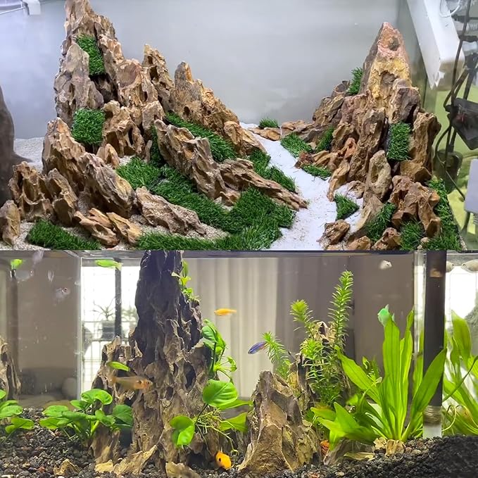 Dragon Rocks Aquariums Stones Natural Rocks for Aquascaping, Aquariums, Terrariums, Vivariums Decorative Stone,Reptile Enclosures,Paludariums,and Gardens-10LB（2 to 7 inch）