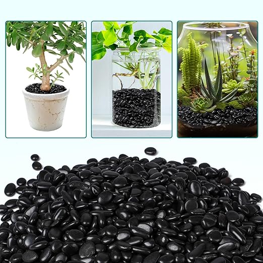 5 lbs Black Pebbles for Indoor Plants, 3/8" Small Rocks for Plants Indoor, Succulent, Bamboo, Vase, Decorative Black River Rocks Pea Gravel, Highly Polished