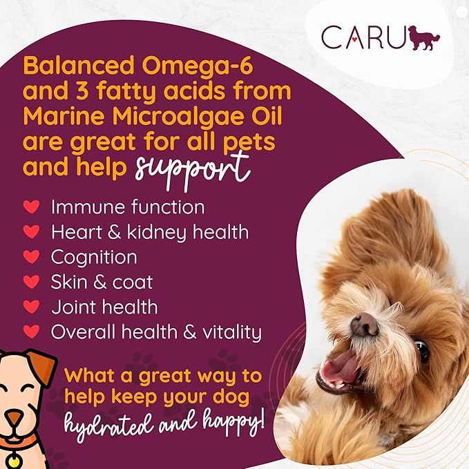 Caru - Real Turkey with Lamb for Dogs, Natural Adult Wet Dog Food with Added Vitamins and Minerals, Free from Grain, Wheat and Gluten (12.5 Ounce, Pack of 12)