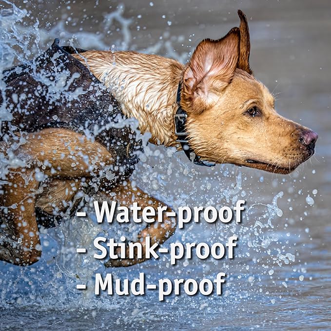 Biothane Custom Dog Collar – Waterproof, Stink-Proof Personalized Collar with Name & Phone Number – Durable, Many Sizes and Colors – Assembled in USA (Royal Blue)