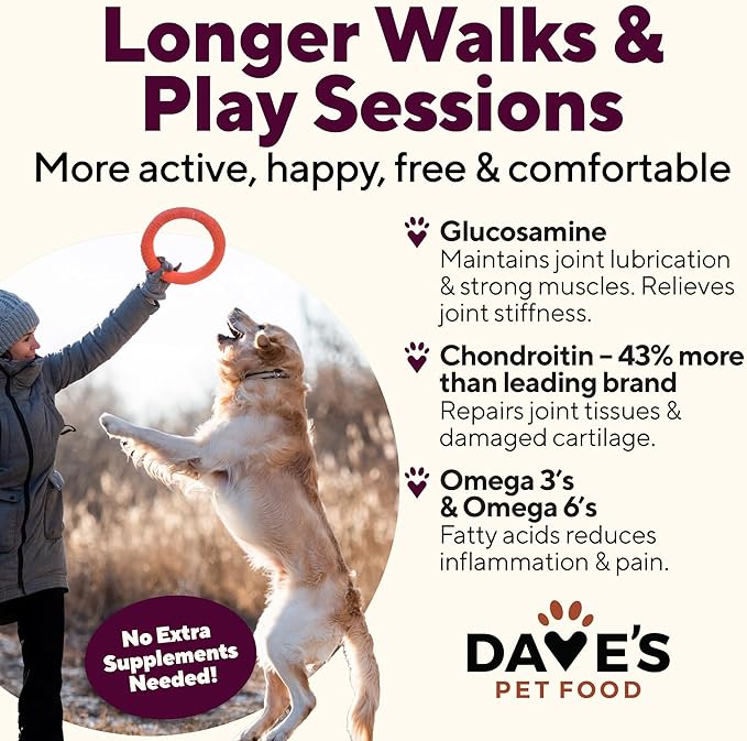 Dave's Pet Food Glucosamine Chondroitin for Dogs, Hip and Joint Support, Gluten-Free, Wet Senior Dog Food, 13.2 oz (Case of 12)